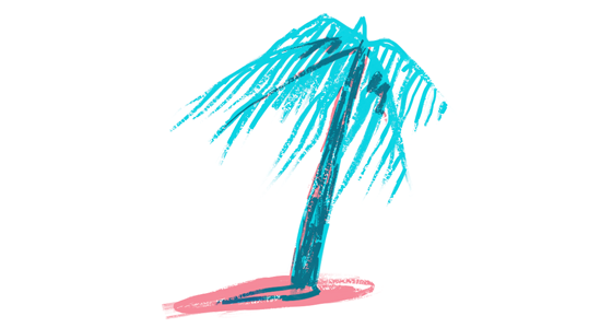 palm tree